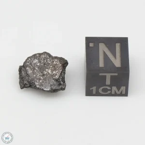 Vaca Muerta Meteorite 1.2g