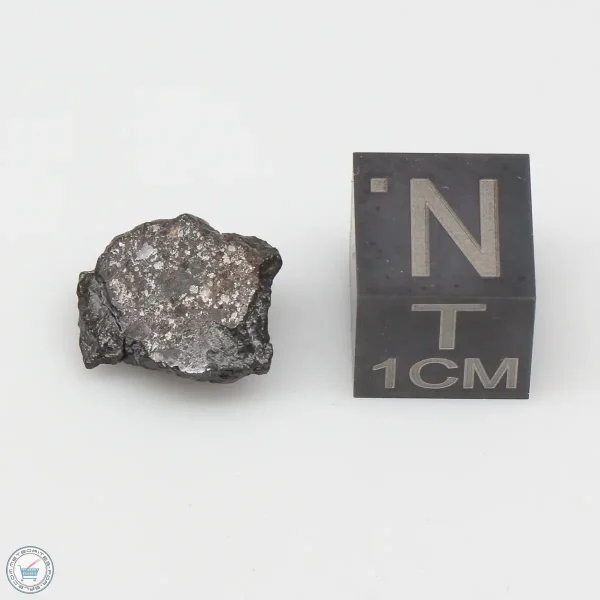 Vaca Muerta Meteorite 1.2g