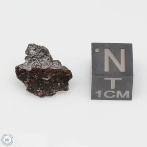 Vaca Muerta Meteorite 1.3g