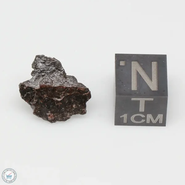 Vaca Muerta Meteorite 1.3g