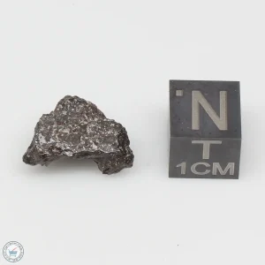 Vaca Muerta Meteorite 2.0g