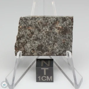 NWA 10731 Meteorite 7.9g