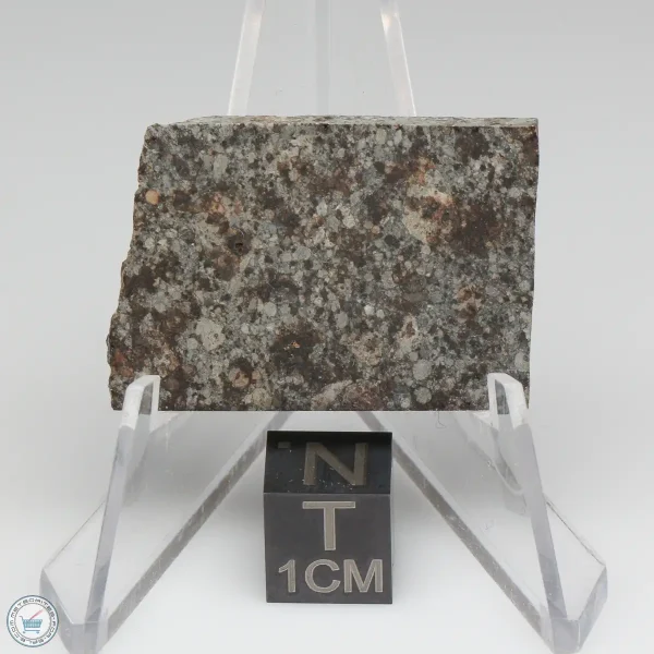 NWA 10731 Meteorite 7.9g