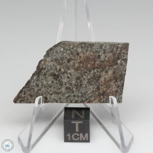 NWA 10731 Meteorite 6.7g