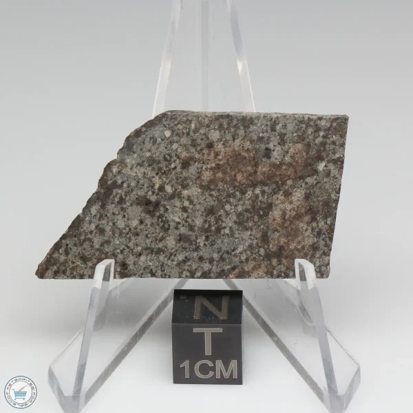 NWA 10731 Meteorite 6.7g