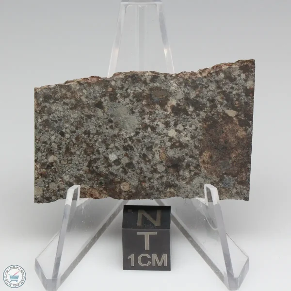 NWA 10731 Meteorite 8.6g