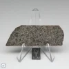 NWA 10731 Meteorite 15.8g