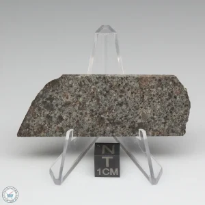 NWA 10731 Meteorite 15.8g