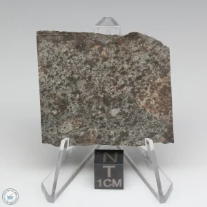 NWA 10731 Meteorite 13.7g
