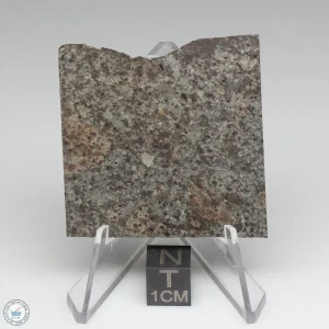 NWA 10731 Meteorite 16.0g