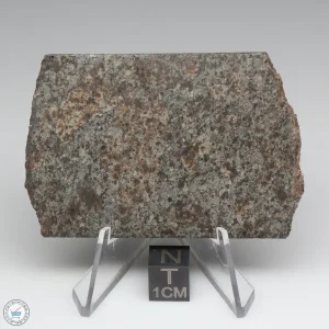 NWA 10731 Meteorite 27.8g