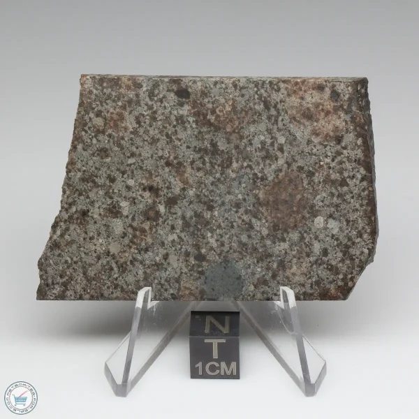 NWA 10731 Meteorite 29.5g