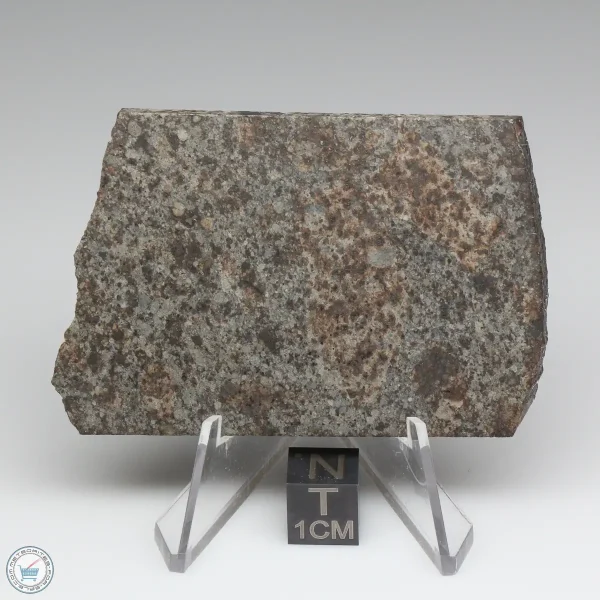 NWA 10731 Meteorite 31.6g