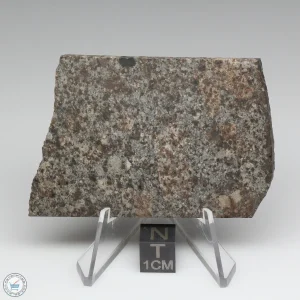 NWA 10731 Meteorite 25.8g