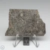 NWA 10731 Meteorite 28.1g