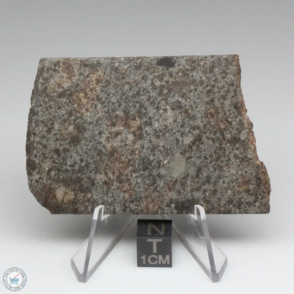 NWA 10731 Meteorite 27.0g