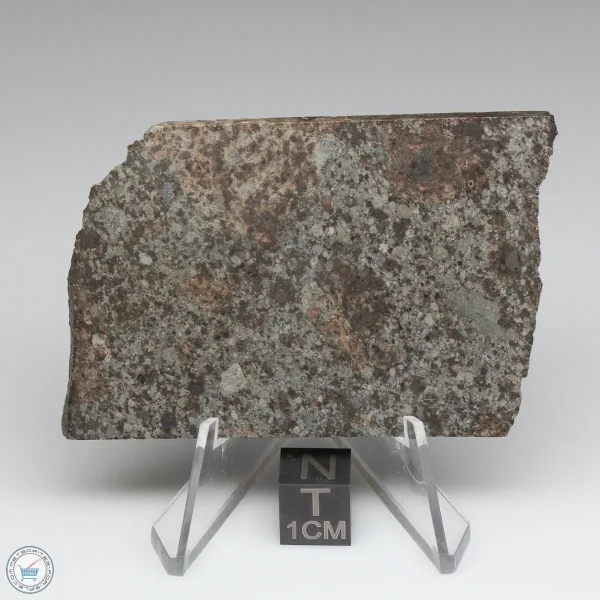 NWA 10731 Meteorite 33.2g
