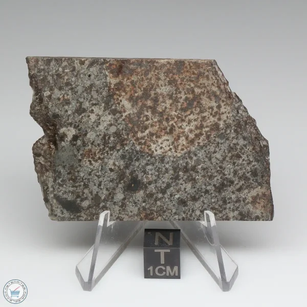 NWA 10731 Meteorite 30.3g