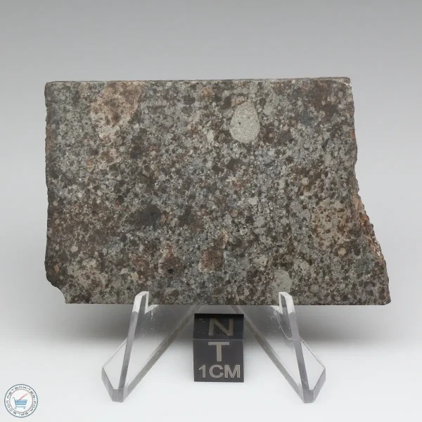 NWA 10731 Meteorite 27.3g