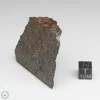 NWA 10731 Meteorite 53.5g Part End Cut
