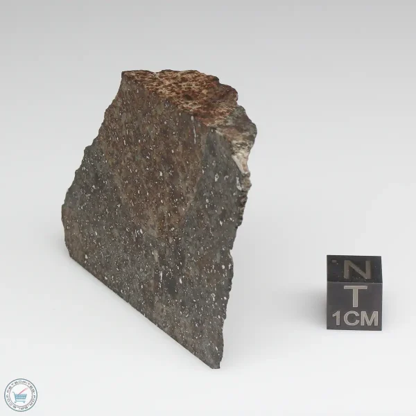 NWA 10731 Meteorite 53.5g Part End Cut