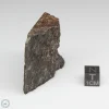 NWA 10731 Meteorite 53.5g Part End Cut