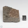 NWA 10731 Meteorite 53.5g Part End Cut