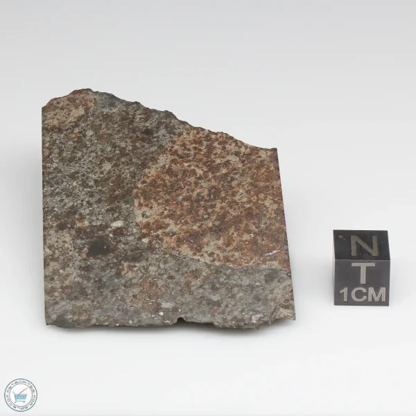 NWA 10731 Meteorite 53.5g Part End Cut