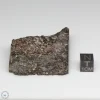 NWA 10731 Meteorite 53.5g Part End Cut