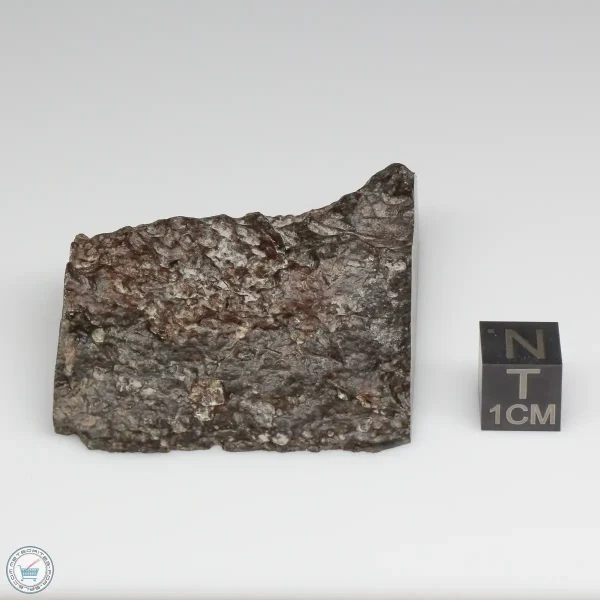 NWA 10731 Meteorite 53.5g Part End Cut