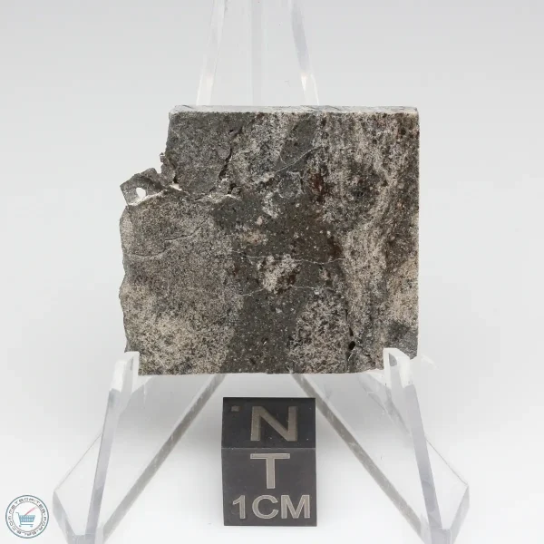 NWA 13325 Meteorite 8.8g