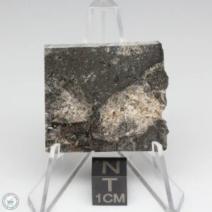 NWA 13325 Meteorite 11.0g