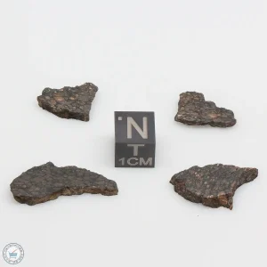 NWA 1465 Meteorite 4.8g