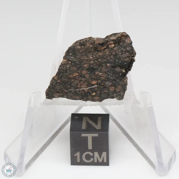 NWA 1465 Meteorite 2.6g