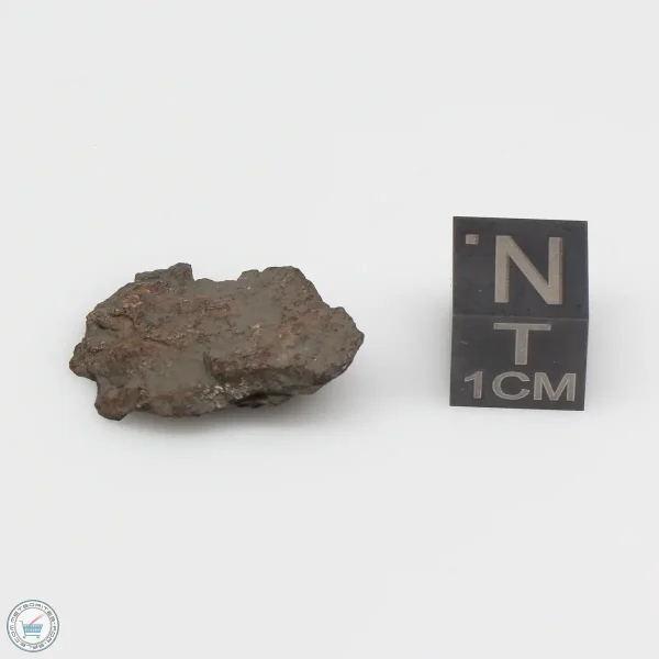 NWA 1465 Meteorite 2.7g End Cut