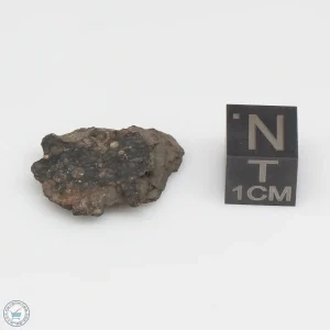 NWA 1465 Meteorite 2.7g End Cut