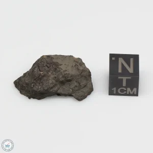 NWA 1465 Meteorite 5.6g End Cut