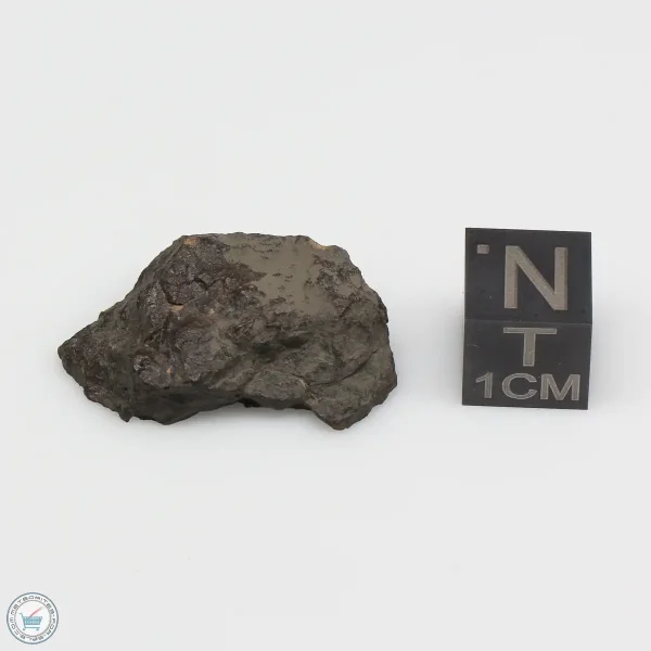 NWA 1465 Meteorite 5.6g End Cut