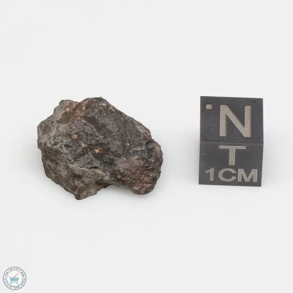 NWA 1465 Meteorite 4.6g End Cut