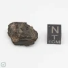 NWA 1465 Meteorite 6.0g End Cut