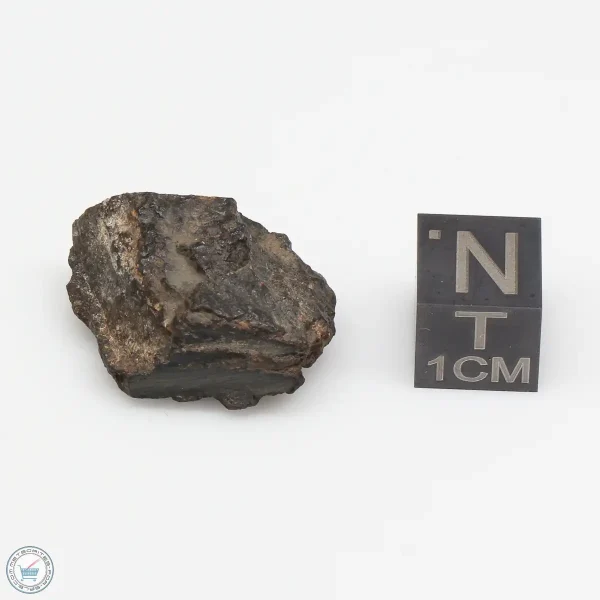 NWA 1465 Meteorite 6.0g End Cut