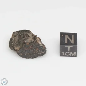 NWA 1465 Meteorite 6.0g End Cut