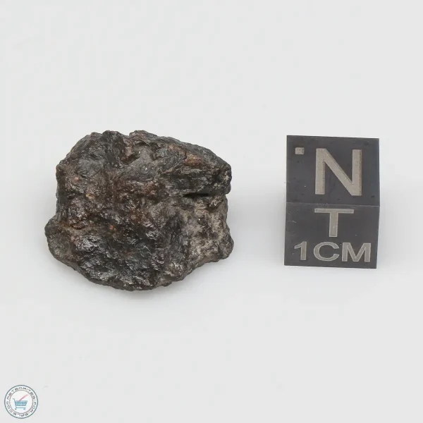 NWA 1465 Meteorite 5.9g End Cut