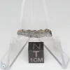 NWA 2481 Eucrite Meteorite 0.40g