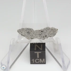 NWA 2481 Eucrite Meteorite 0.59g