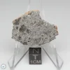 NWA 2481 Eucrite Meteorite 5.57g