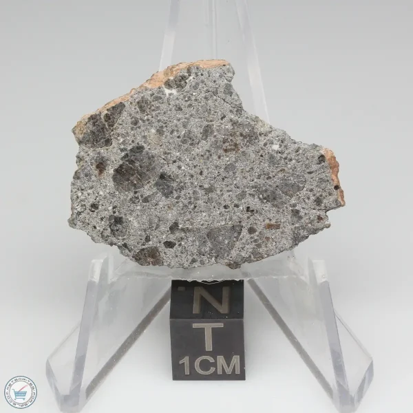 NWA 2481 Eucrite Meteorite 5.57g