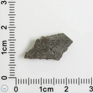 NWA 3250 Achondrite-prim Meteorite 1.25g
