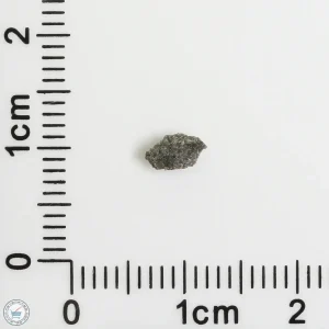NWA 3250 Achondrite-prim Meteorite 0.03g