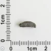 NWA 3250 Achondrite-prim Meteorite 0.25g